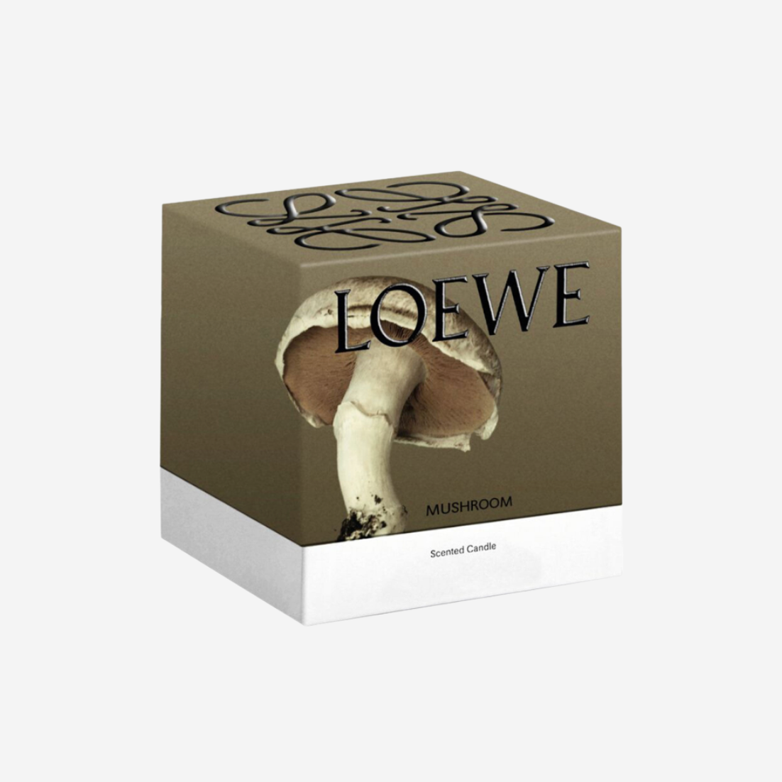 VELA LOEWE