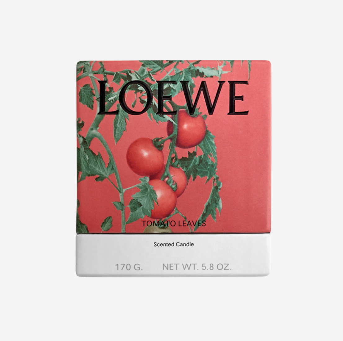 VELA LOEWE