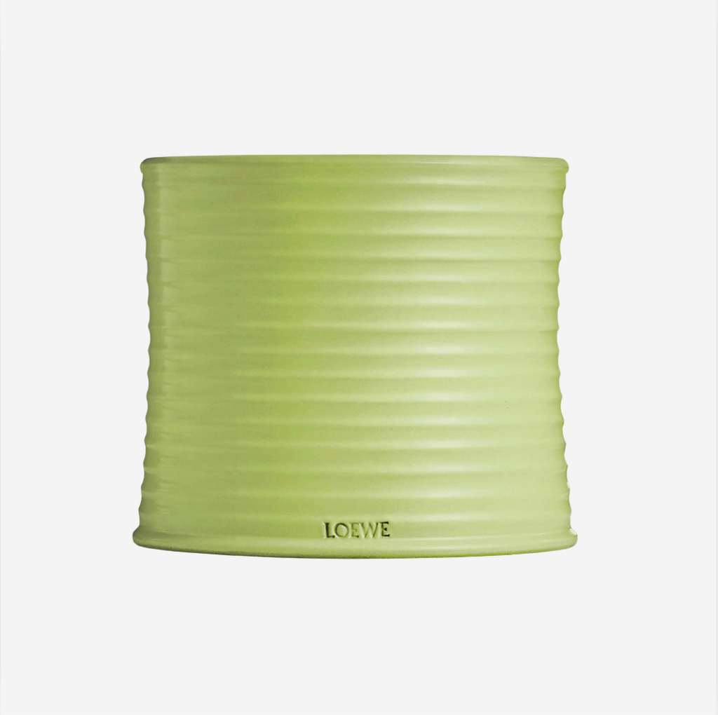 VELA LOEWE
